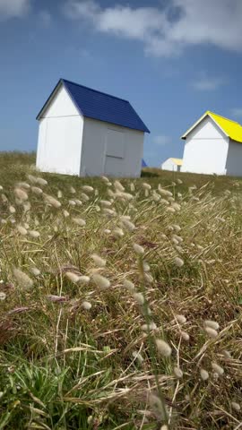 Beach cabins are nestled among sandy dunes at Gouville-sur-Mer, Normandy, France. These structures have white walls with brightly colored roofs—blue, yellow, and green—contrasting the vivid blue sky. Tall, wispy grasses sway in the foreground, characteristic of coastal dune vegetation. The setting provides a picturesque view of the Normandy coastline, known for its natural beauty and cultural history.