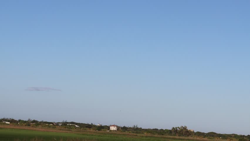 Expansive green wetland and grassland landscape with distant vegetation and buildings beneath a clear blue sky.