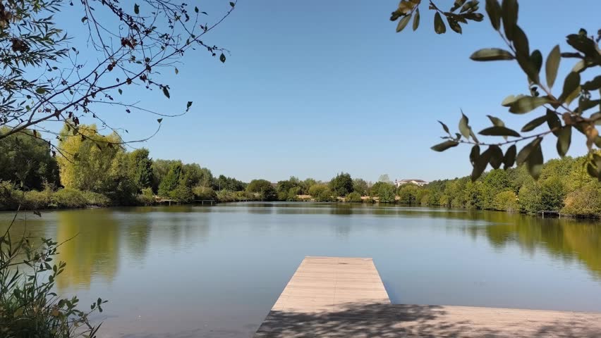 Peaceful lake with wooden dock, geese swimming, and lush green trees reflecting on still water during summer