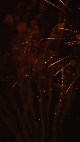 Golden and red fireworks bursting in the dark night sky. A beautiful pyrotechnic display celebrating a special occasion or holiday