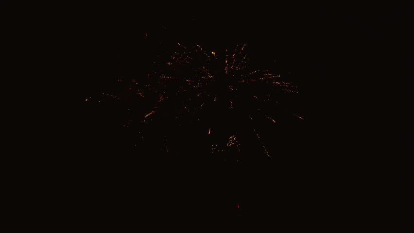 Spectacular red and gold fireworks exploding in night sky