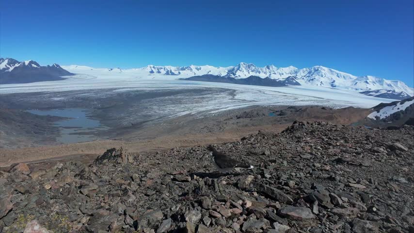 Caracara In Front Of Vast Patagonian Ice Field, El Chaltén, Argentina
