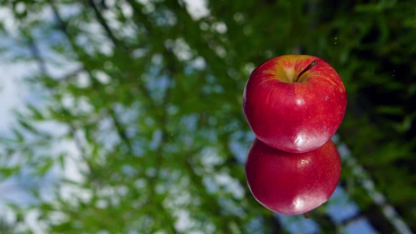 Single ripe red apple lies on a reflective surface outdoors. The fruit’s glossy skin and its mirror reflection are illuminated by natural daylight, with blue sky, green foliage, and a wooden garden structure visible in the background.