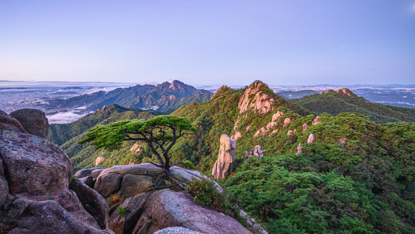 4K time-lapse video of the morning landscape of Dobongsan Mountain in Seoul, featuring a pine tree atop a cliff in Bukhansan National Park, Dobong-gu, Seoul, South Korea.