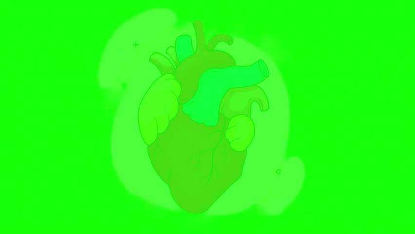Cartoon anatomical human heart beating on chroma key background