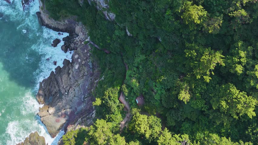 Breathtaking top down aerial shot of the ocean waves crashing against the rocky coast of amnam park in busan, south korea, surrounded by lush green forest