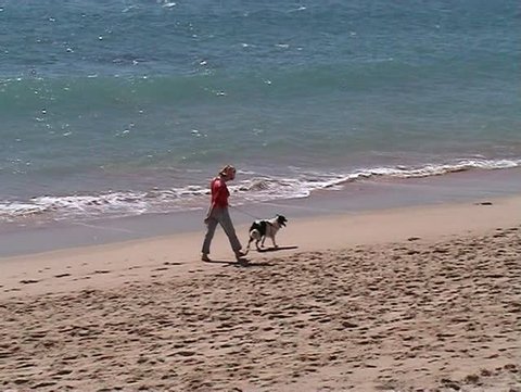 Woman in vacation walking in beach with dog 