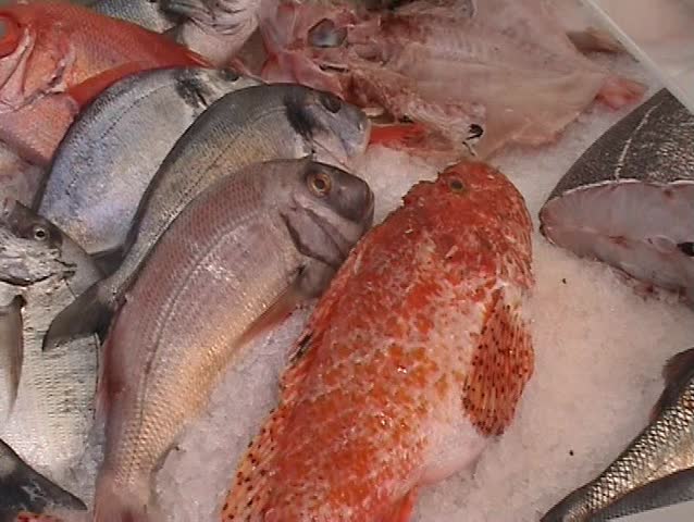 Fresh fish on ice for sale at market
