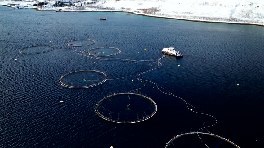 Aquaculture salmon farm rings and service boat in dark arctic waters in Tromso, Norway. Aerial backward