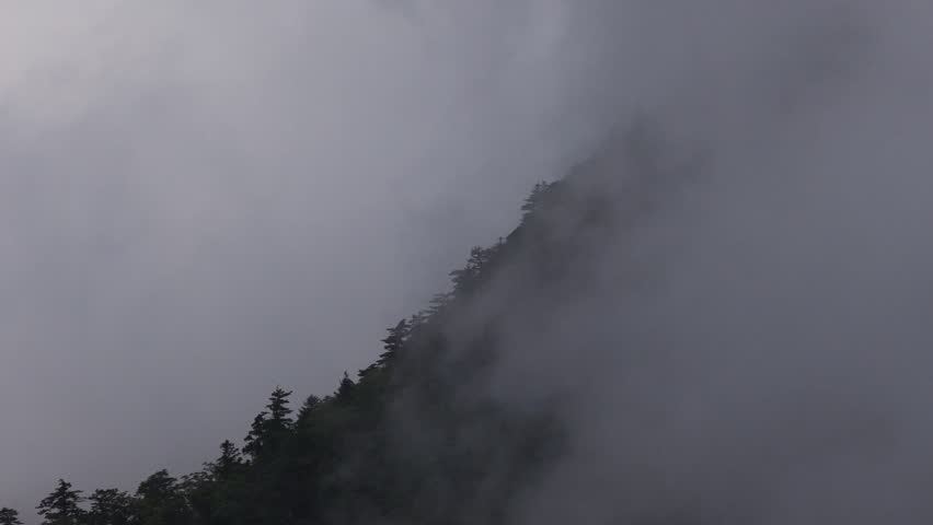 Cloud and fog move over forested ridge creating whiteout on mountaintop