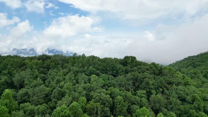 Aerial view flying over lush green mountains and low drifting clouds near Cherokee, North Carolina, with dense forest and atmospheric mist.