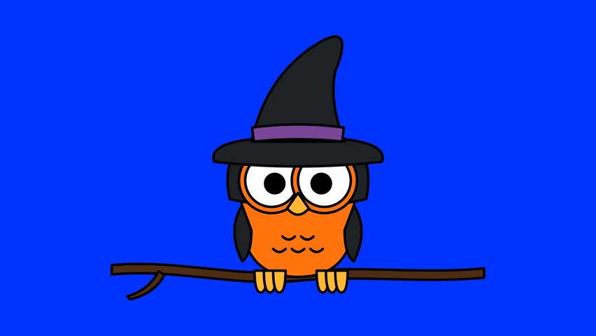 Cute Cartoon Owl Wearing a Witch Hat Perched on a Tree Branch for Halloween Celebration Designs