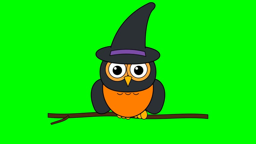 Cute Cartoon Owl Wearing a Spooky Witch Hat Perched on a Tree Branch Isolated on Green Screen Background