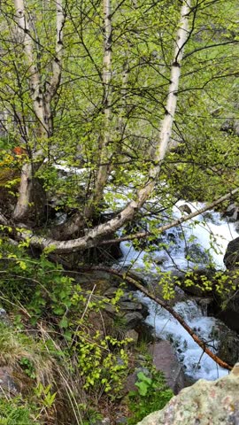 spring in the mountain in Georgia 