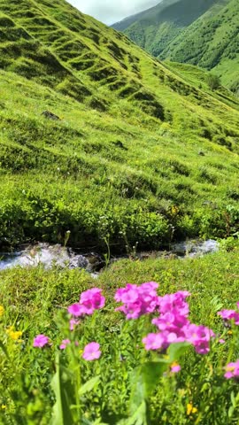spring in the mountain in Georgia 