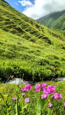 spring in the mountain in Georgia 