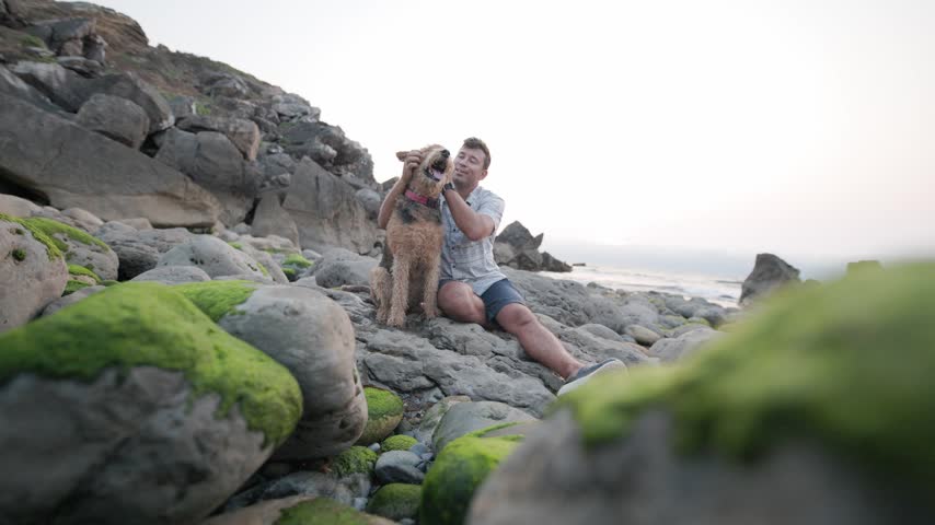 Man plays with his dog on rocky beach near the water in late afternoon sunlight