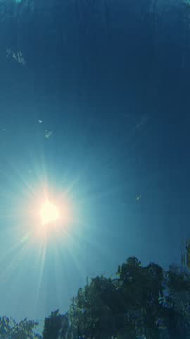 Underwater shot of a man wearing flippers and mask diving in clear blue water with bright sunburst in background. Concept of freediving, aquatic fitness, and summer workout.