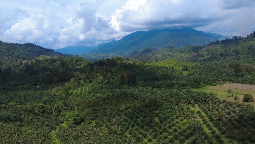 Aerial view of lush tropical hills, agricultural plantations, and a dramatic mountain landscape covered by clouds in Indonesia.
