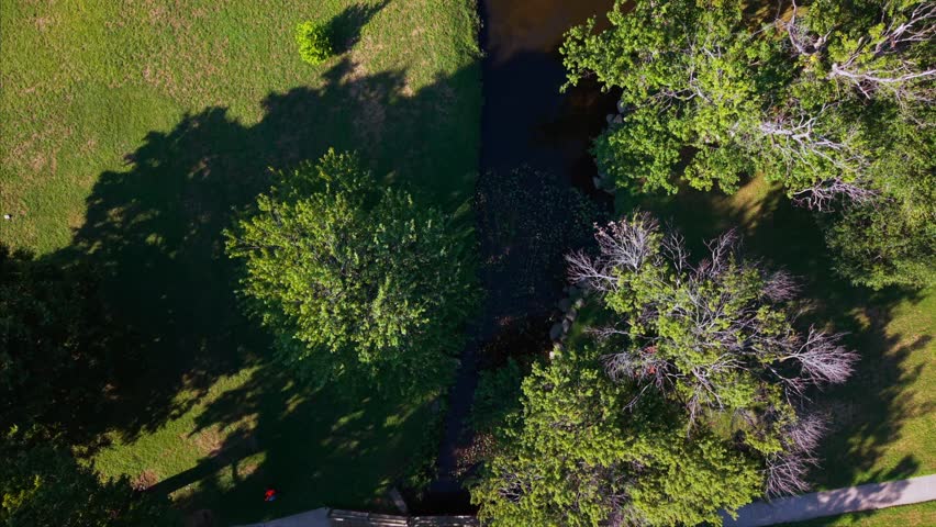 Aerial top down view of a winding park pathway crossing a creek under a small bridge, showing greenery and the peaceful outdoors on a sunny day. The camera is tilted straight down and dolly in slowly.