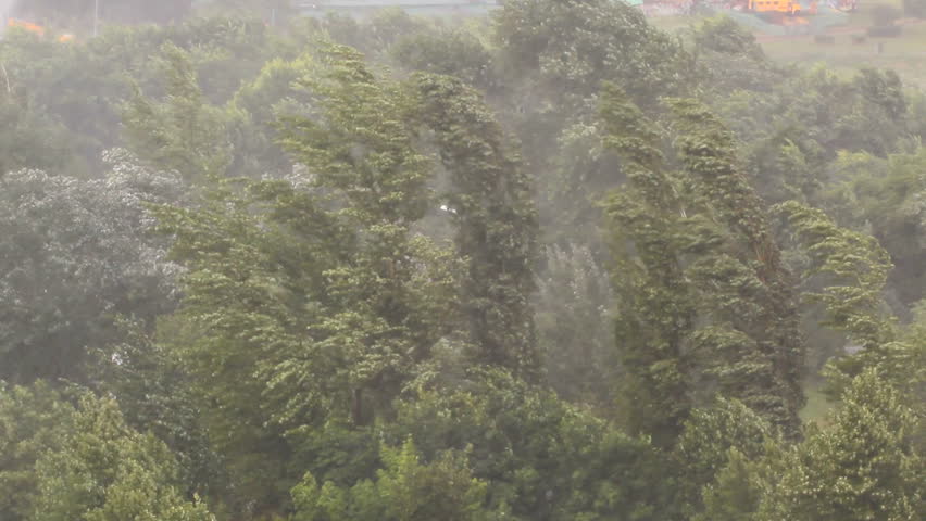 Very strong wind and rain over the treetops. Summer wind storm over the forest Royalty-Free Stock Footage #4155565