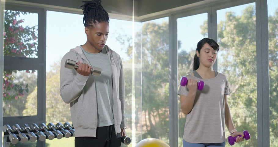 Diverse friends curling metallic and purple dumbbells in home gym after starting set, matching pace. Fitness, workout, weights, partners, home, gym, sunlight