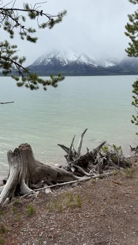 Grand Teton National Park - Scenic view of Jackson Lake from Colter Bay Lakeshore Trail