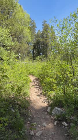 Grand Teton National Park - Hiking the Phelps Lake Trail