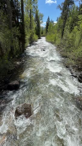 Grand Teton National Park - Lake Creek