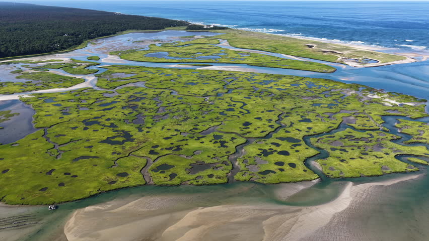 A myriad of channels meander through an extensive salt marsh behind Coast Guard Beach on Cape Cod, MA. Marshes provide critical habitat for many birds, fish, and invertebrates to feed, mate, and nest.