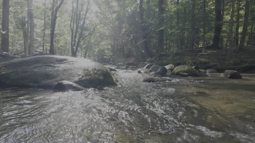 Mountain water rushes over rocks and pebbles in a thick forest in the Great Smoky Mountains of Tennessee while light shines through trees
