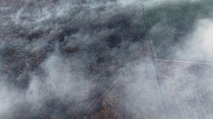 Smoke drifts over scorched fields from above. Ash covers land once green and fertile. Foggy haze drifts across burnt farmland. Fields lie darkened after wildfire