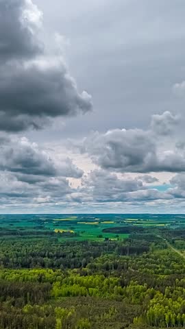 Aerial view captures expansive landscape with dense forest canopy contrasting vibrant yellow rapeseed fields under dramatic heavy storm clouds moving slowly across horizon in peaceful countryside setting.