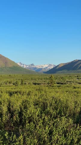 Denali National Park Alaska landscape with mountains