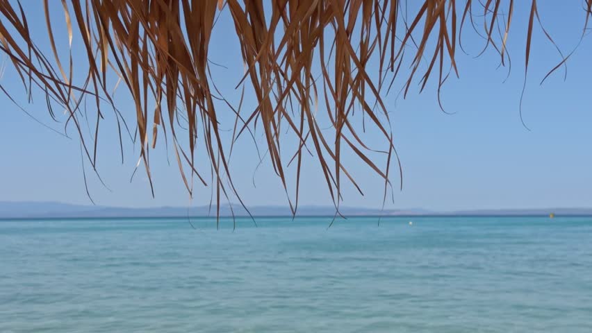 Green palm tree leaves gently sway in the wind framing a calm turquoise sea and clear blue sky in a tropical location