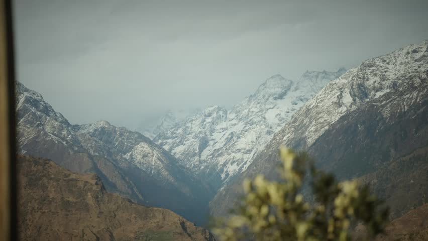 Layered snow covered mountain ranges rise beyond a mist filled valley, seen through a softly blurred flowering branch in the foreground, in Nepal.