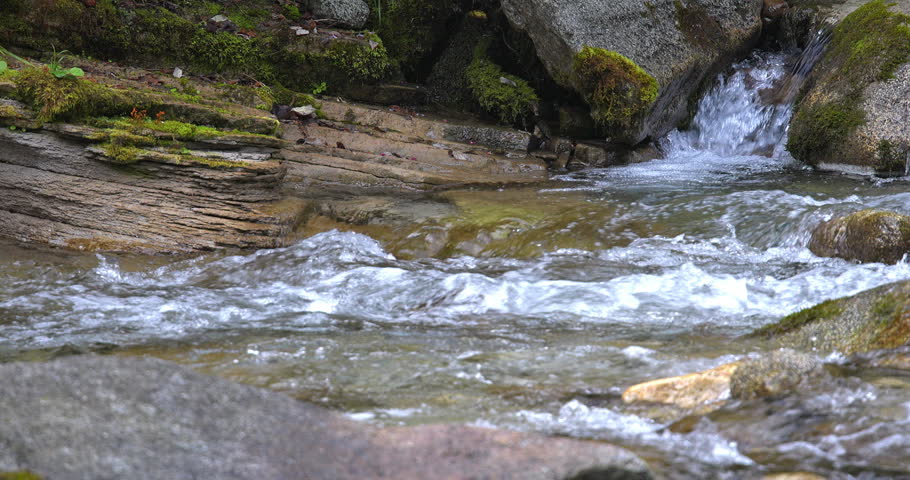 Landscape on an Alpine stream