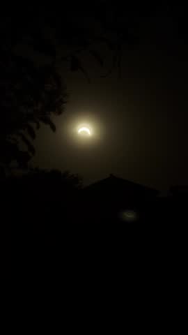 A partial solar eclipse creates a bright crescent glow behind silhouetted tree branches under a hazy amber sky.