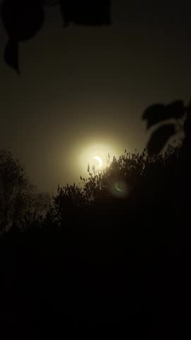 A partial solar eclipse creates a bright crescent glow behind silhouetted tree branches under a hazy amber sky.