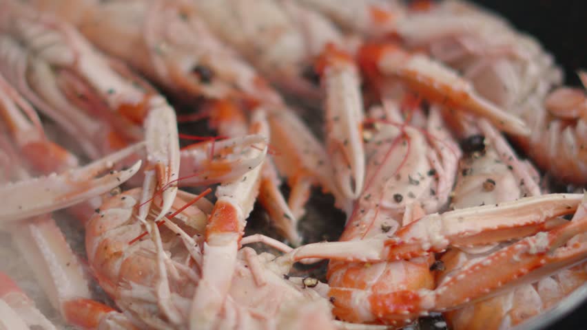 Close-up of Fresh Langoustines Cooking in Hot Pan with Steam Rising in Slow Motion. Shellfish Seafood being Cooked Outdoors. Norway Lobster.