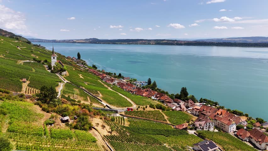 Ligerz, Lake Biel, Biel-Bienne District, Bern, Switzerland, revealing terraced vineyards, St. Peter Church, the lakeside village and the Swiss wine region, drone orbit. In summer time.