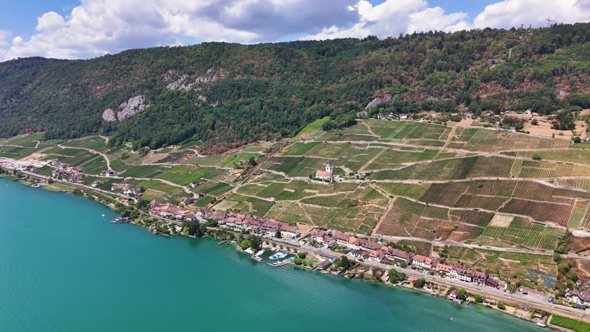 Ligerz, Lake Biel, Bern, Switzerland, revealing terraced vineyards, the lakeside village, vineyard roads and the Jura foothills above the Swiss wine region, drone oblique slide.