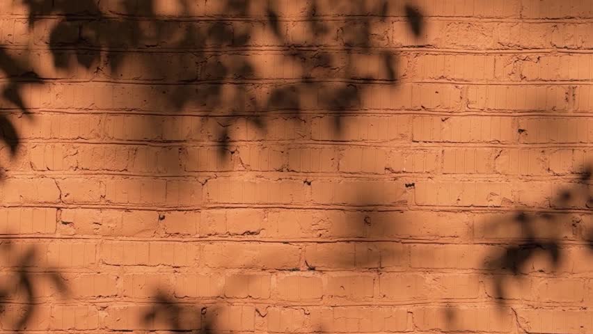 Warm sunlit brick wall texture with dappled tree leaf shadows, orange terracotta background