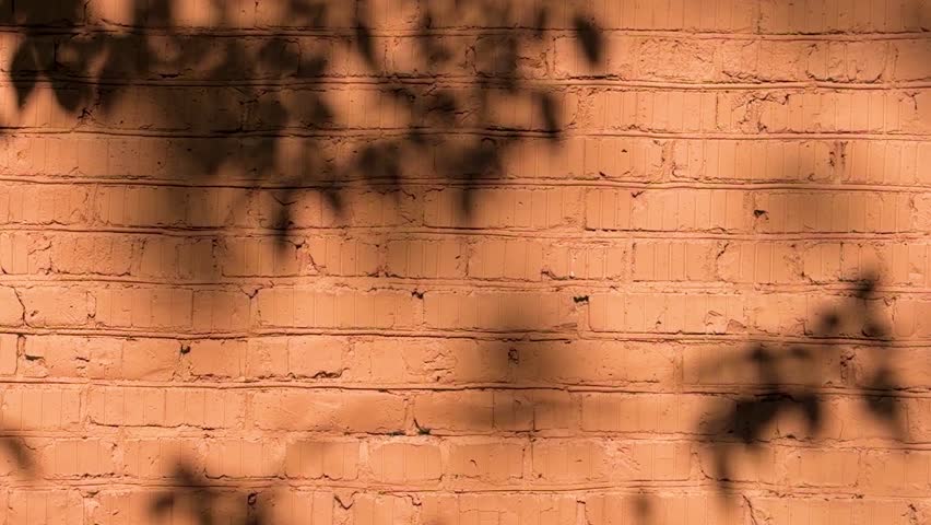 Warm sunlit brick wall texture with dappled tree leaf shadows, orange terracotta background