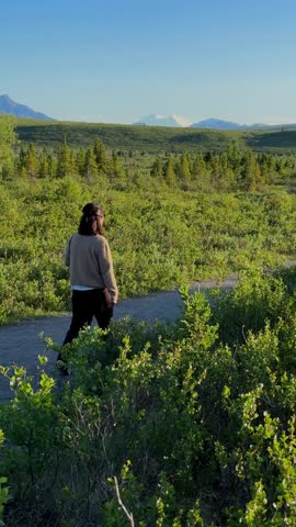 Woman walking trail admiring Denali National Park landscape in Alaska