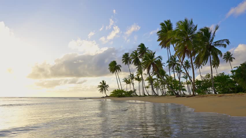 Picturesque evening landscape of a tropical coastline. Exotic sunny beach with palm trees and turquoise sea on a Caribbean island. Summer vacation and paradise beach concept.