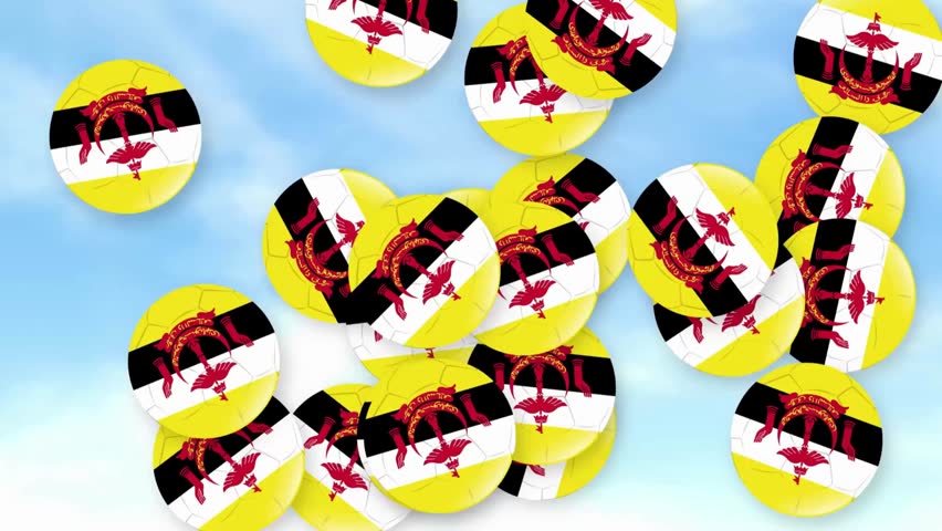 Brunei flag round pins on a light blue background