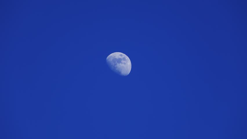 Waxing gibbous Moon with tree silhouettes on a daylight blue sky.
