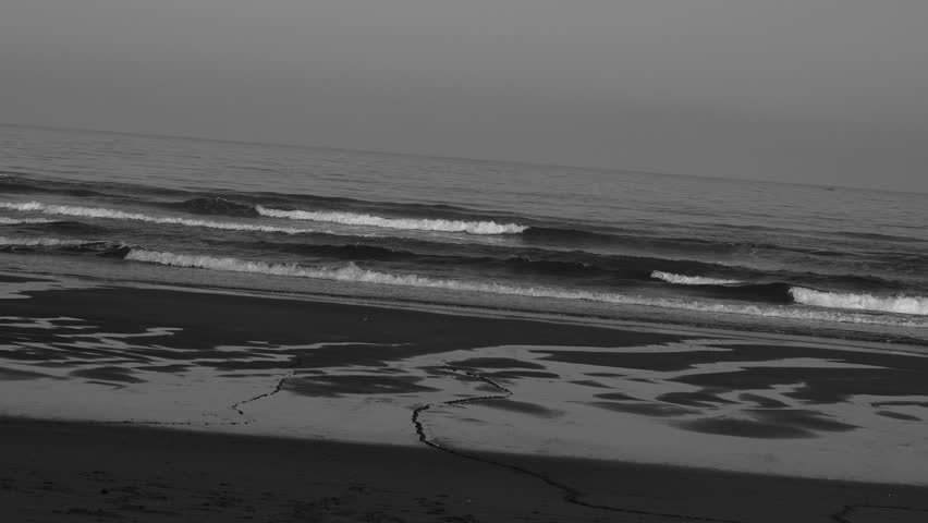 Beach black and white scenery
