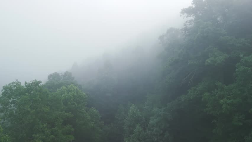 Heavy Fog in Mountains West Virginia